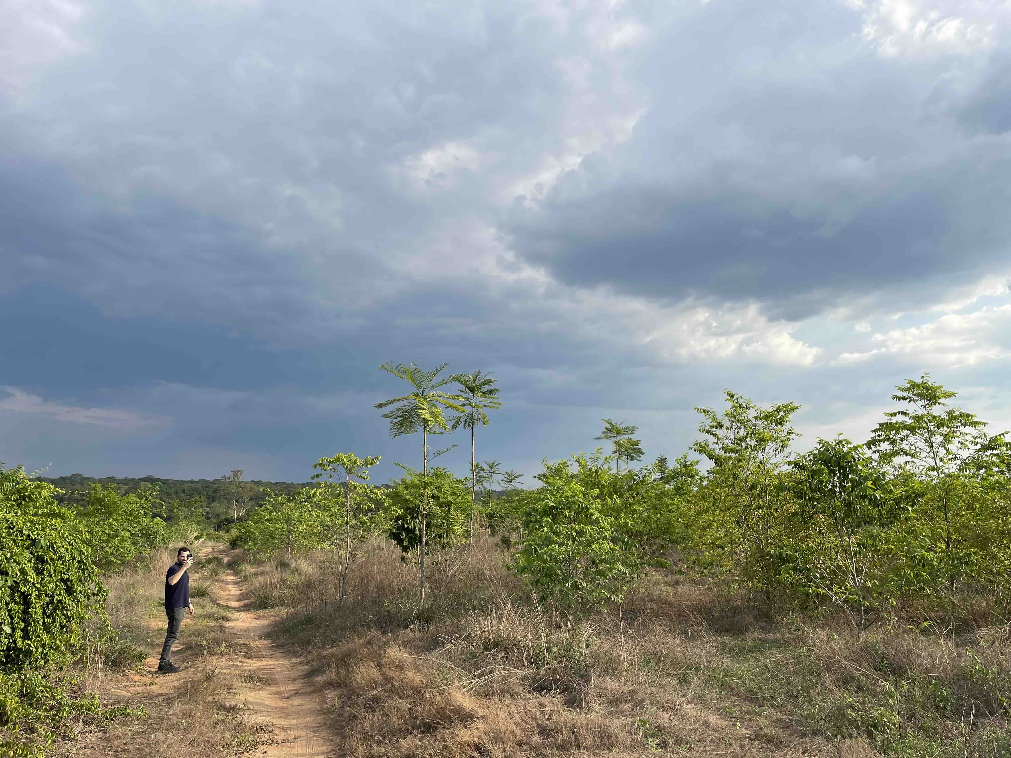 Carbon Bank - Rabobank. image toon de grens tussen natuur en agricultuur in een braziliaans regenwoud. Initiatieven van de carbon bank hebben in dit gebeid geleid tot reforestatie, betaald vanuit carbon credit market. Deze nieuwe business voor boeren is zowel goed voor de natuur als economisch voordelig. 5
